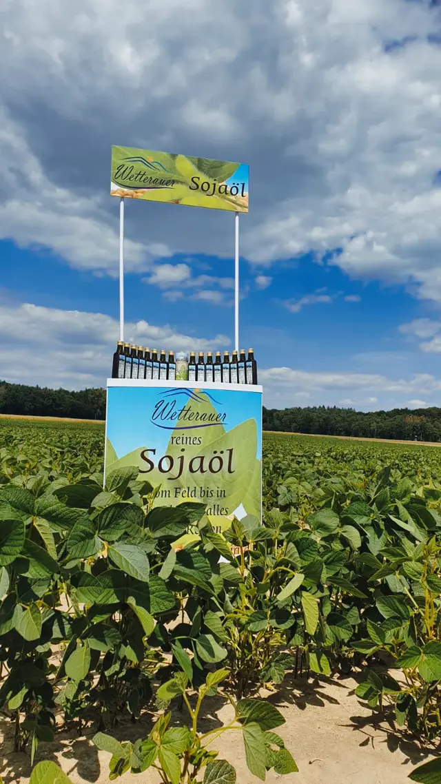 Sojaöl-Stand im Sojafeld